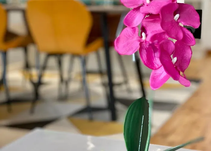 Loft Cocon Climatise - Imprenable Vue Sur Le Chateau Comtal Daire *